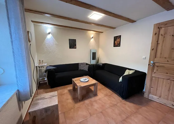 Haus Fichtelberg By Interhome Hébergement de vacances